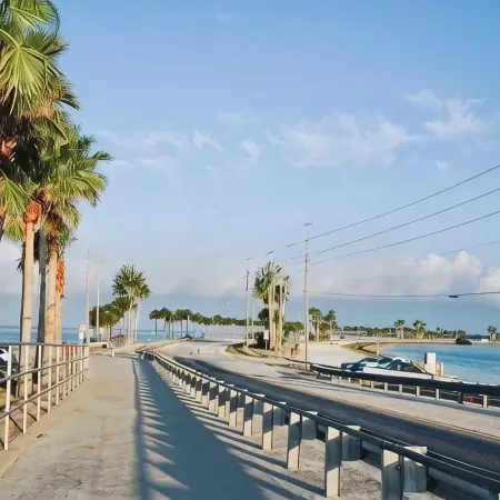Beautiful Condo in Dunedin. 5 min from the beach!