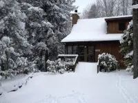 Cozy Mountain Top Cabin 13 Acres Near Dupont State Forest-Pet Friendly-Wifi- EV - 샬레 호텔