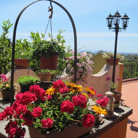 Mascali: "Il casale degli aranci" house / villa  with garden  3 rooms - 2/5 persons