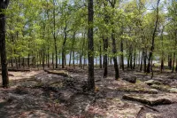 New Cabin on Private Lake with Hot Tub, Gas Grill, Fire Pit & Swings - Chalets