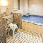 KURETAKE INN PREMIUM OGAKI EKIMAE - Hot Tub
