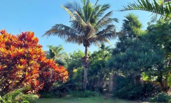 The Wilds Guest House