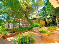 Burwood Bed and Breakfast Hotels in Campsie