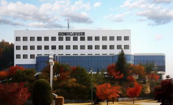 Chuncheon Bears Hotel