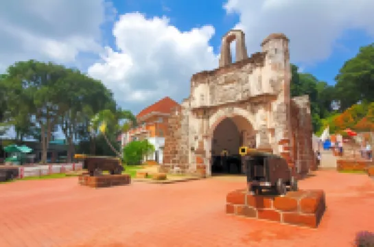 선샤인 인 플러스