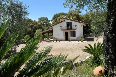 Villa Cycas Relaxation in Nature