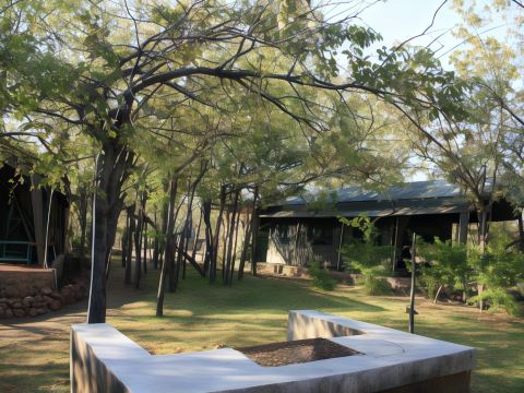 疣豬野生動物園營地旅館