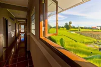 Baba Guesthouse