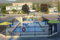Flamingo Motel - piscine