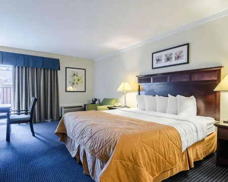 Rodeway Inn & Suites Williamsburg Central Отели в г. Lightfoot