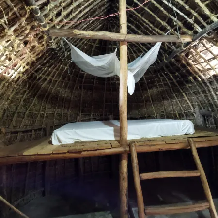 Mida Creek Eco Camp - Lodge