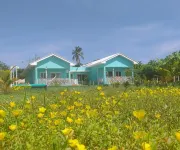 Blue Lizard House