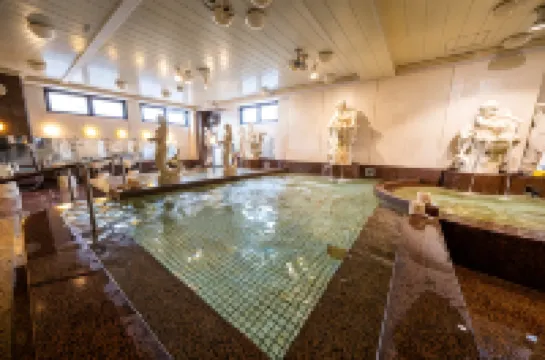 G-Topia Capsule & Sauna