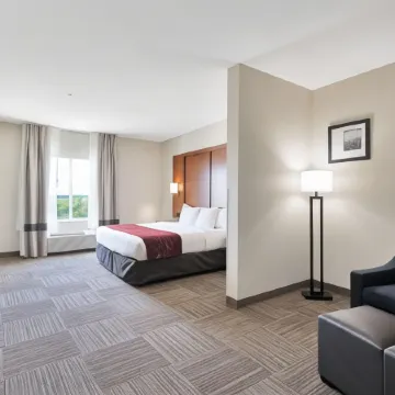 Comfort Suites University