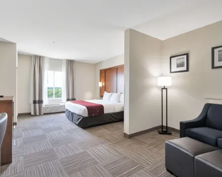 大學城舒適套房酒店 阿比林酒店