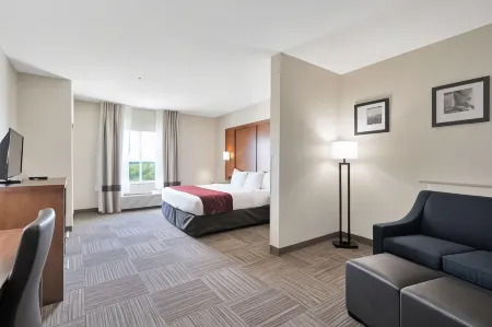 Comfort Suites University