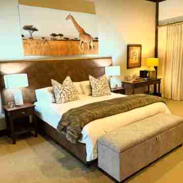 Swartberg Private Game Lodge Rooms