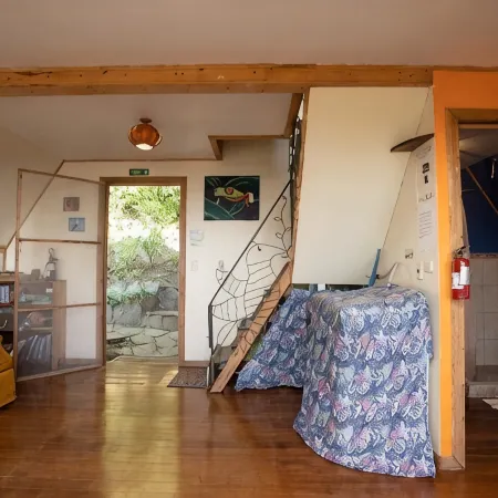 Casa Cielo: Bird’s Eye Views– proceeds support Sustainability Center