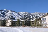 Beautifully Renovated 2 BR 2 Bath Light Filled JHMR View Condo