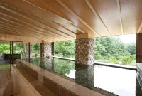 Hanamaki Ryokan Airinkan - Hot Springs
