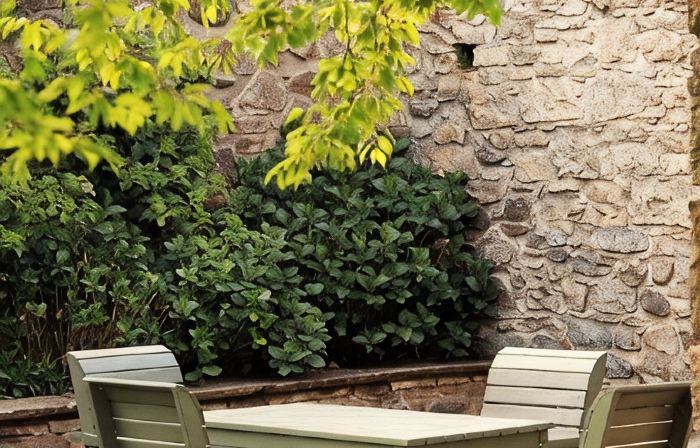The Arns Cottage is a traditional stone built, cosy and luxurious retreat.