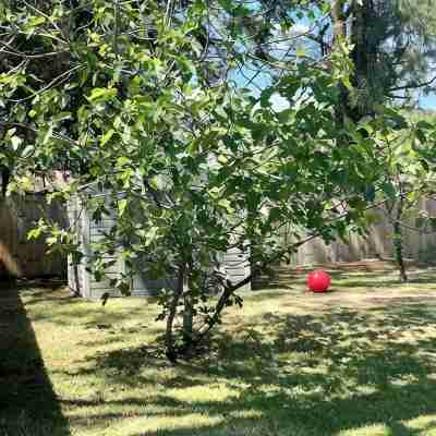Large Fwb Home- 5-Min Drive to Emerald Coast Beaches- Pets Welcome! Hotel Exterior