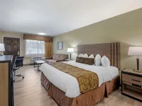 Best Western Inn of Brenham Hotels in Brenham