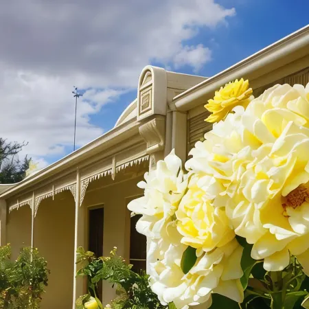 Acacia Terraces