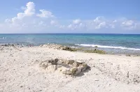 Beach Front Paradise Home.  Luxurious Funishings!