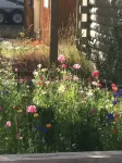 Cozy Cabin Just Minutes from Yellowstone. Book Now for Your Summer Stay! - Chalets
