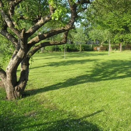Small isolated cottage on a large meadow and orchard land