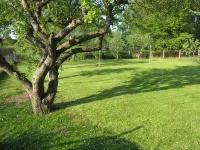 Small isolated cottage on a large meadow and orchard land