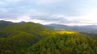 Smoky Mountains National Park, Cades Cove, Secluded Romantic Honeymoon Getaway - Boutique