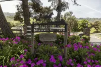 Quaint Country Cottage - Country Houses