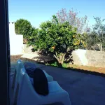 Funky cottage for 2, patio, garden, mountainview. Coast 14 km. Rota Vicentina. - Wi-Fi
