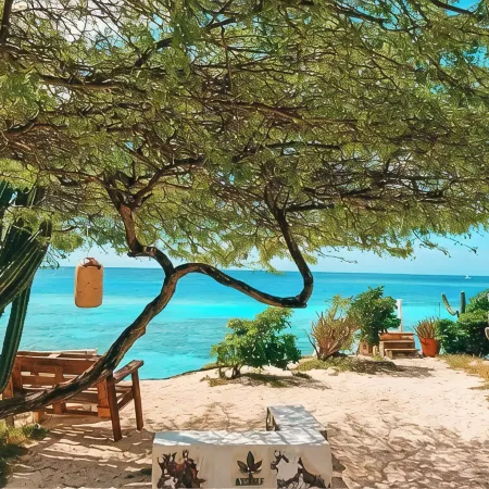 Beach Front Honeymoon
