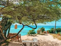 Beach Front Honeymoon - Beach