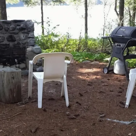 900 sq/ft off-grid cabin nestled on Upper Cranberry Lake. Pet Friendly!