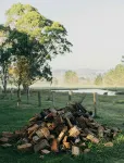 Converted milking shed on a working horse stud - บังกะโล