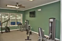 The Hideout Chalet Hot Tub & Fire Pit - Gym