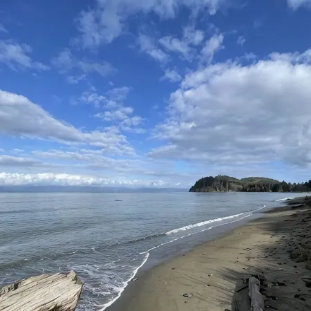 Olympic Retreat:3 BR, detached cottage & hot tub close to Olympic National Park!
