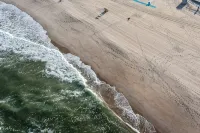 4 Houses to Beach!  Remodeled 2026. 4 Passes, Chairs, Towels, Umbrellas Included - en bord de mer
