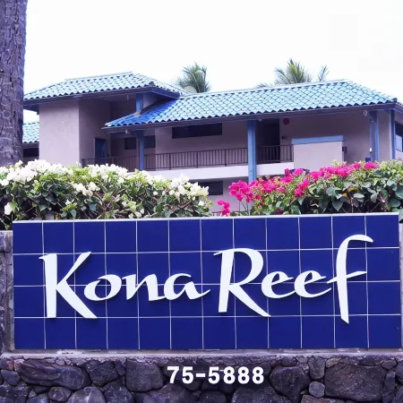 Oceanview 1BR- Top Floor Elevator access - see video tour -WiFi and free calling