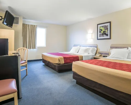 Econo Lodge Hotels in Belle Fourche