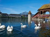 Hotel Lestelle - Self Check-IN Luzern otelleri