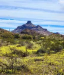 The Artists Cottage ~ Fun desert getaway - WiFi