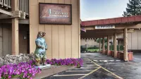 Tahoe Lakeshore Lodge & Spa - Parkering