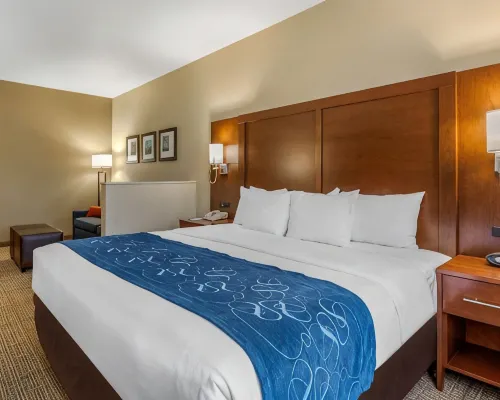 Comfort Suites Hotels in Cedar Falls