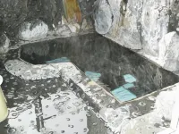 Umegashima Onsen Baikunro - Hot Springs