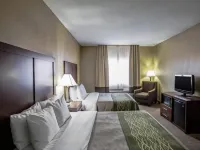 Comfort Inn Morris I-80 Hoteles en Morris